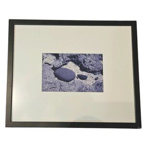 Vintage Photo Framed Nature-Inspired Abstract Black With White Matting 15x17
